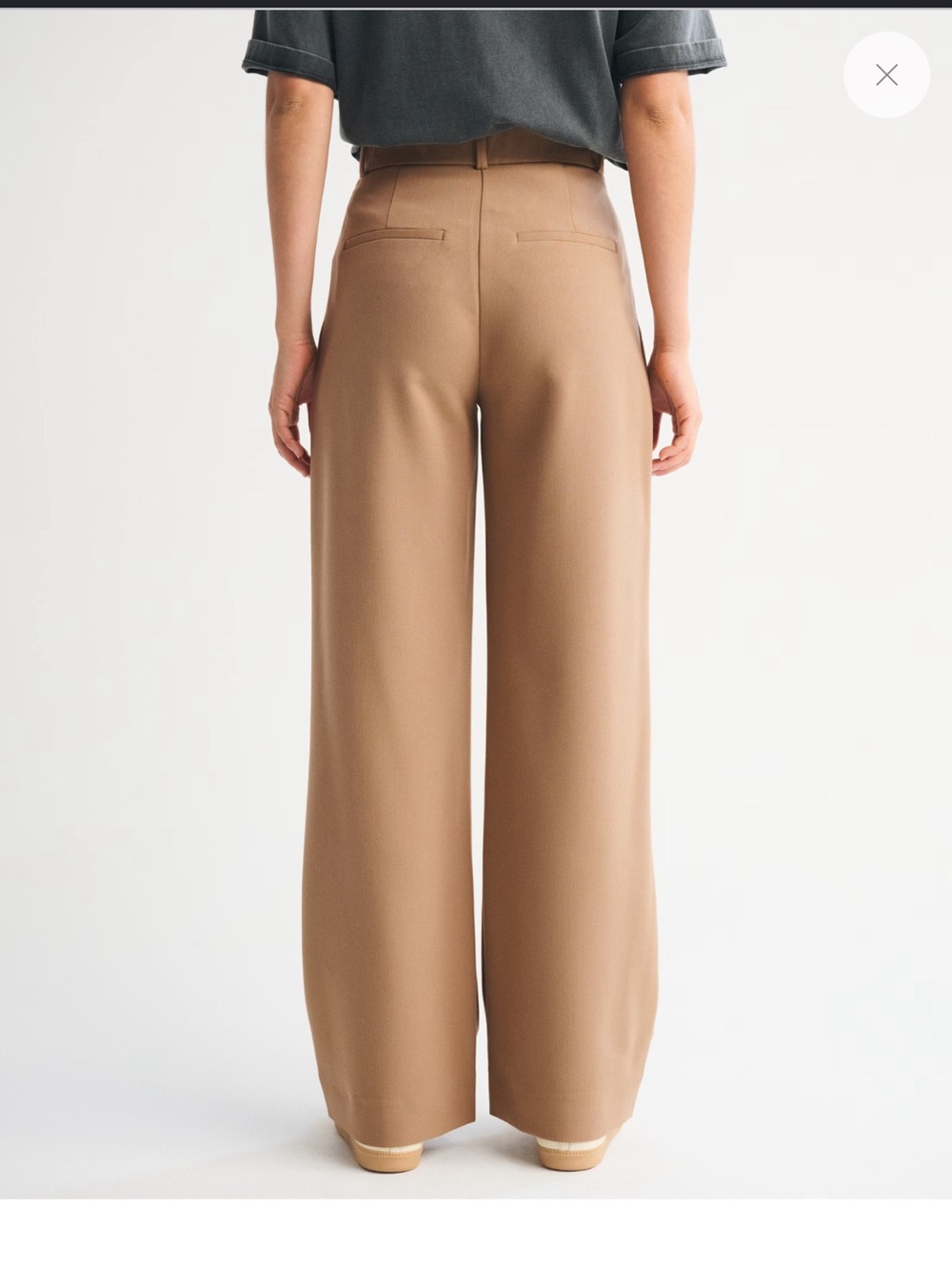 Abercrombie & fitch A&F Sloane Tailored Wide Leg Pant - Picture 4 of 13